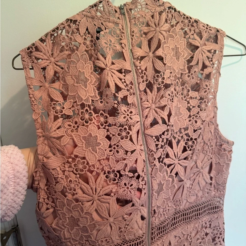 NWT Bardot Lace Mini Dress in Mauve